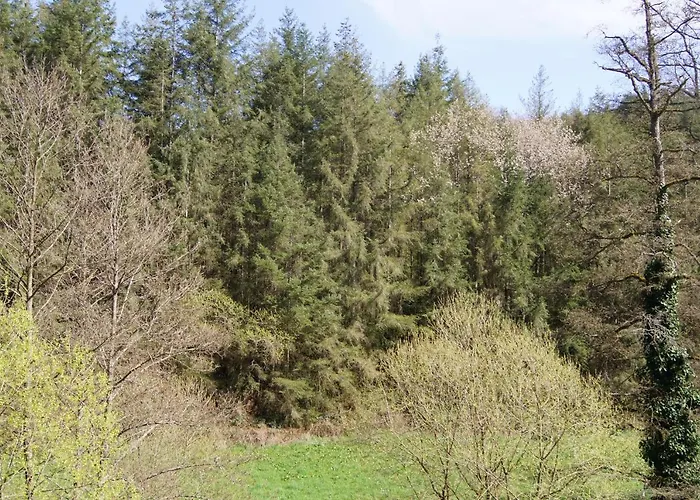 דירה Lillie 3-4 Personen - Wagner & Gaul Falkenauel *